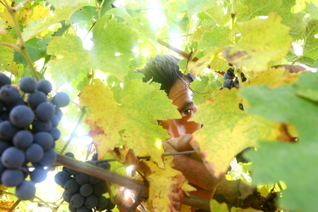 Afaceri cu terenuri retrocedate, demontate de Curtea de Conturi