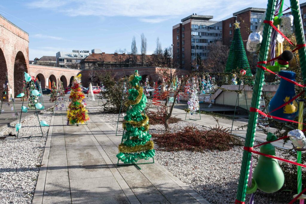 Copiii din Timișoara și-au construit o Pădure Urbană