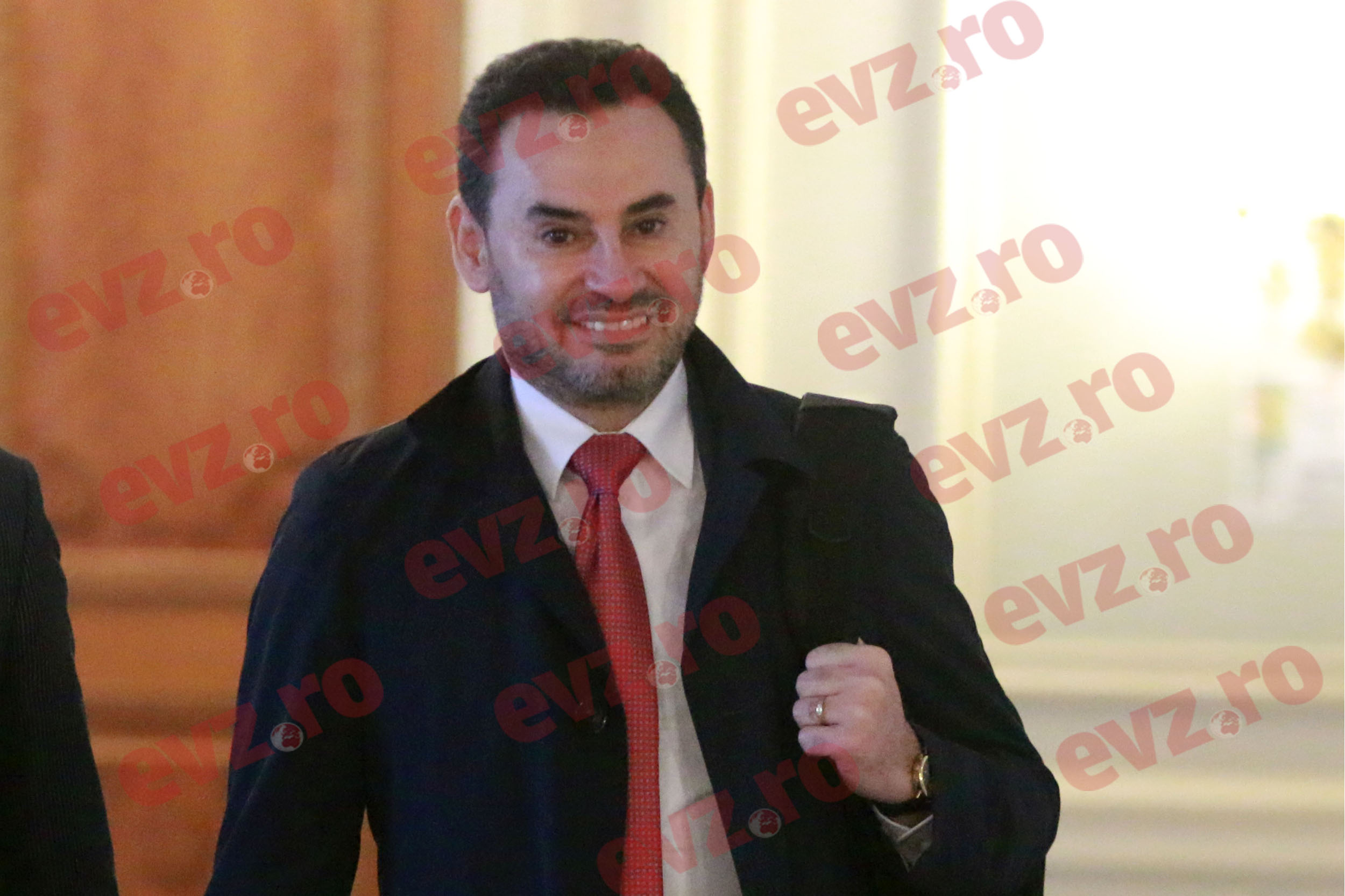 Gheorghe Falcă, PNL: Grindeanu a venit la Bruxelles să garanteze că n-o să colaboreze cu AUR