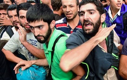 Austria. Scandalul alocațiilor pentru imigranţi. Decizie radicală a Curţii Constituţionale