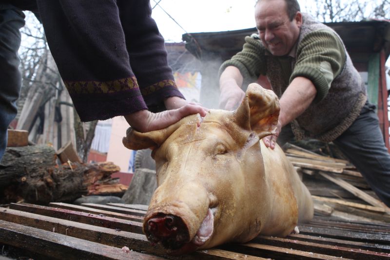 Tradiții de Crăciun pe cale de dispariție. Ce s-a ales de sacrificarea porcilor la români