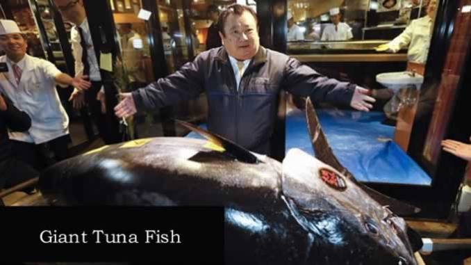 Un ton de 276 de kilograme, vândut în Japonia cu 1,8 milioane de dolari