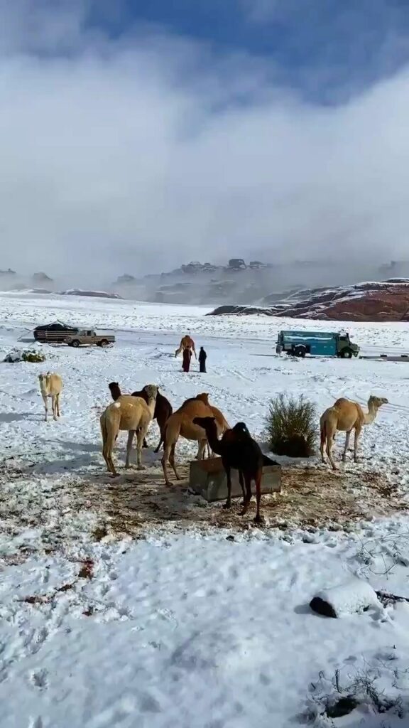 Zăpadă în deșert! Imagini inedite cu ninsoarea care a scos lumea în stradă. VIDEO