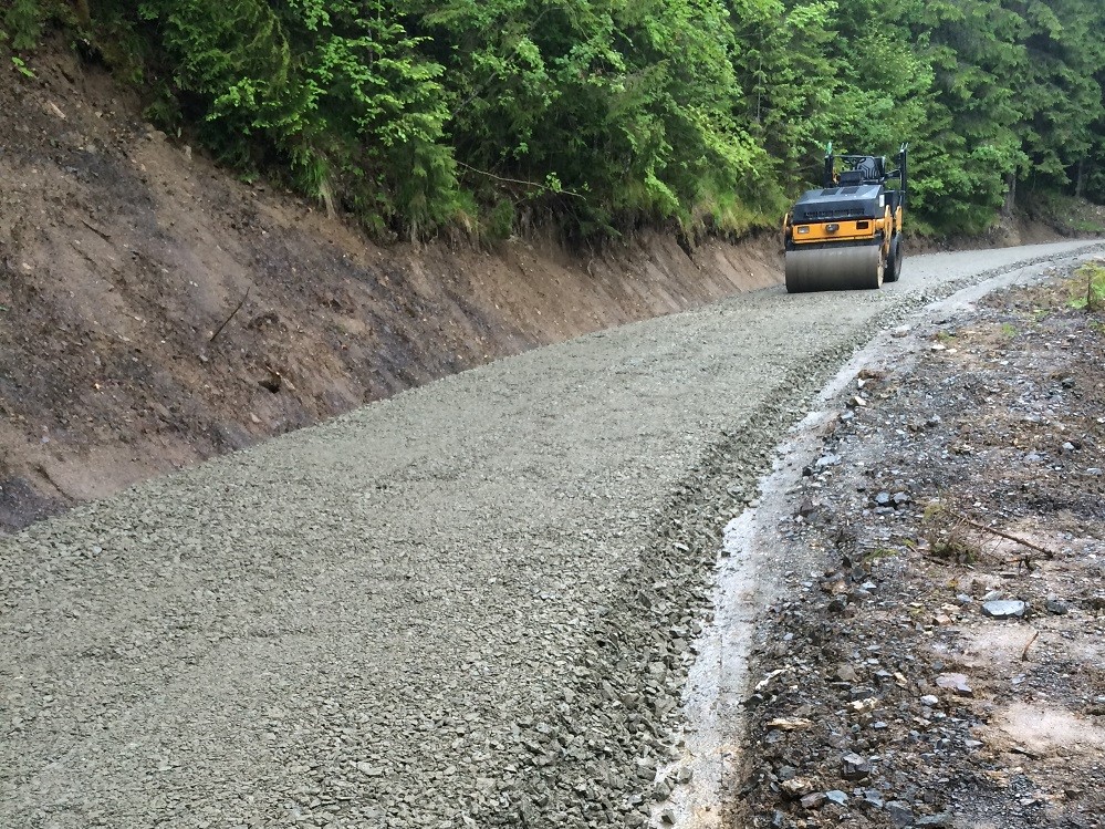 Radu Tudor a explodat: Ministrul Bode ne trimite în pădure!