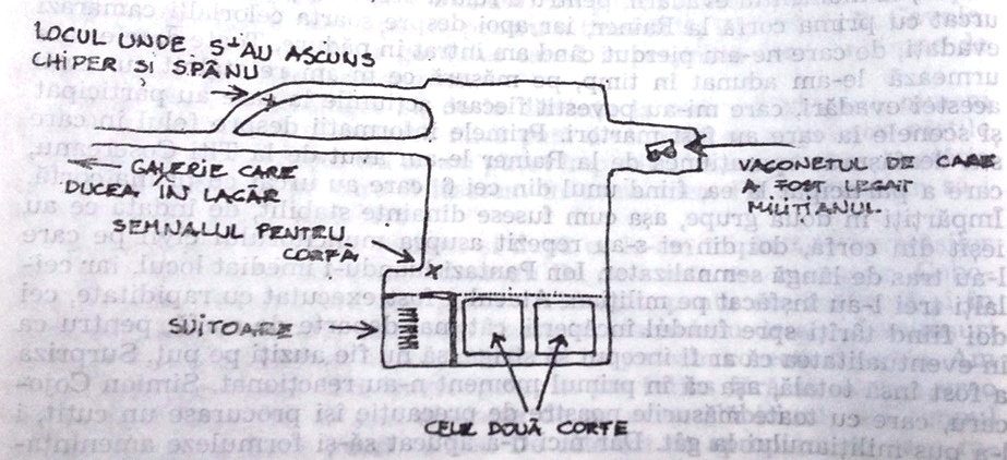 Spectaculoasa evadare din colonia de muncă de la Cavnic, din 1953