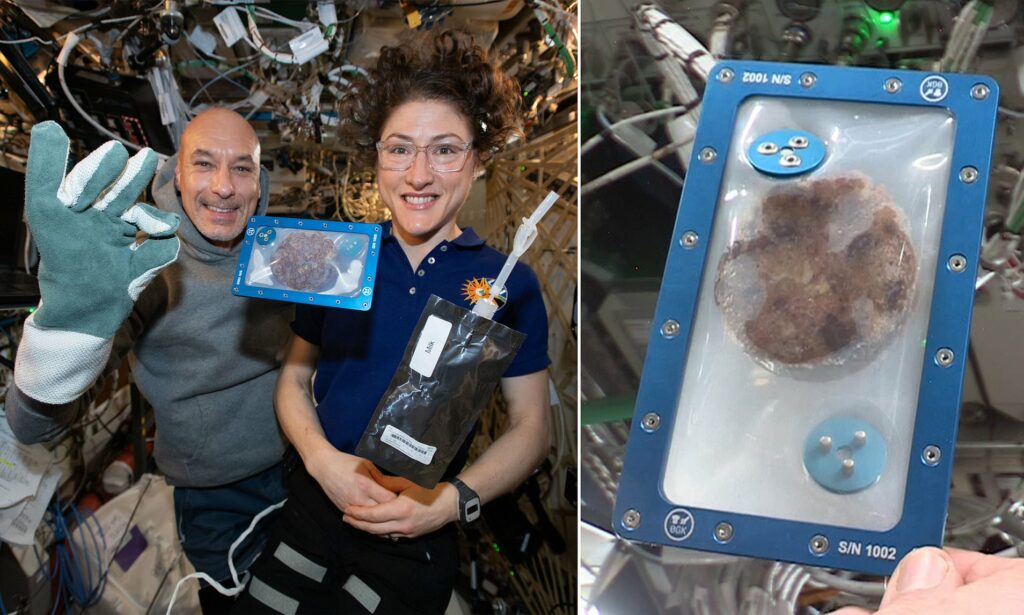 Doriți o prăjitură spațială? Astronauții, pas mic pentru om, salt uriaș pentru cofetărie