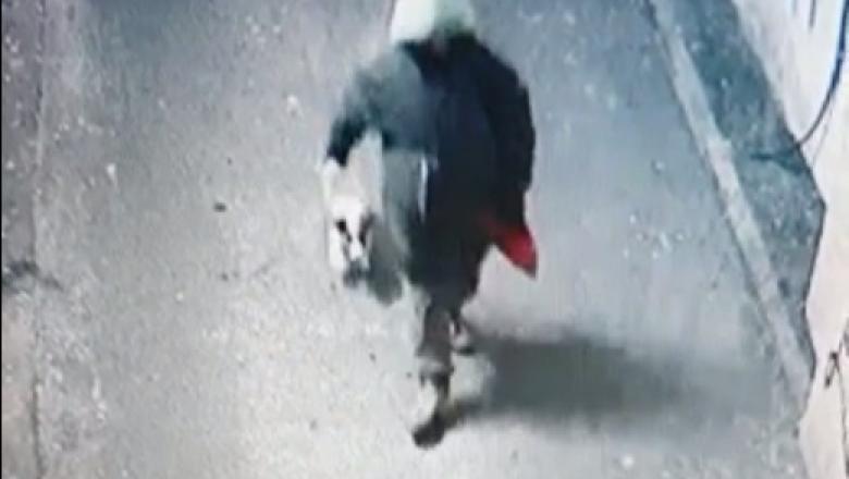 Update. Ucigașul câinelui spânzurat în București va sta în arest 30 de zile. Cine este individul