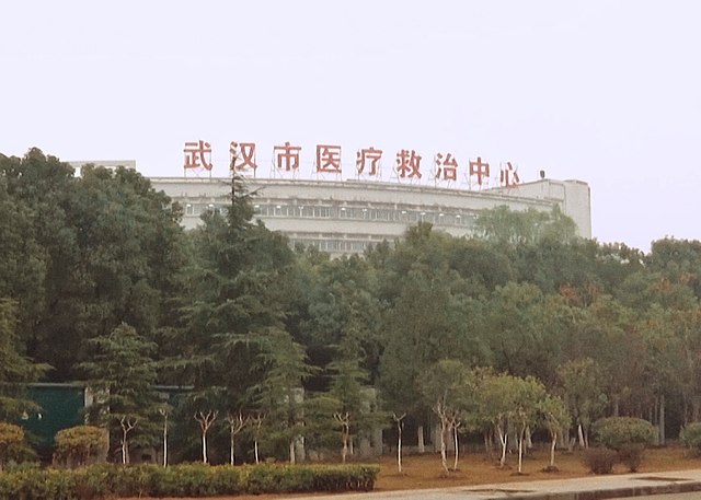 Coronavirus. OMS aterizează de urgență în China