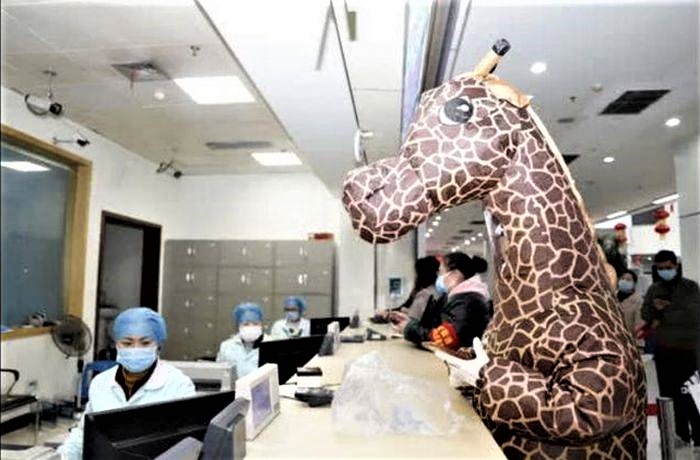 Metodă anticoronavirus bizară. Costum de girafă în locul măștii de protecție