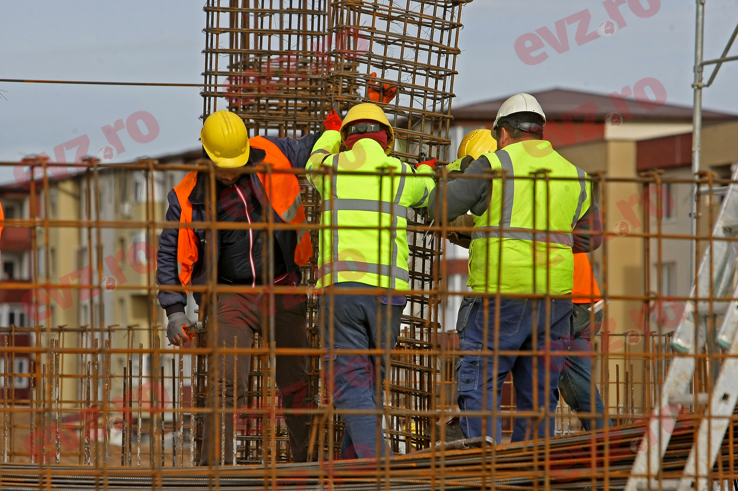 Trei români au vrut să devină cei mai bine plătiți muncitori din Germania, dar au ajuns după gratii