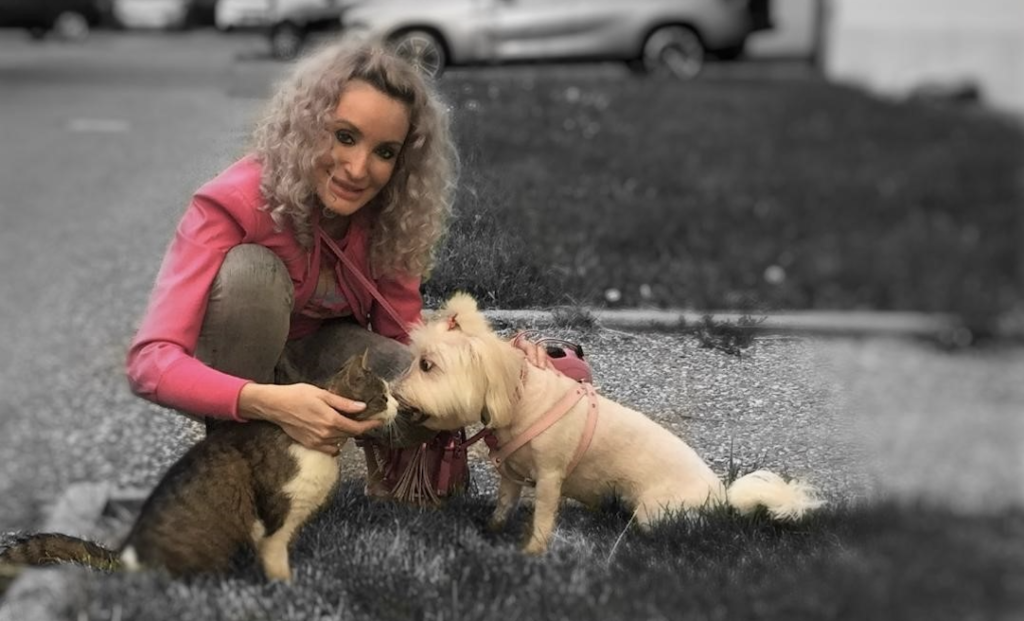 Povestea unei pisici  a ajuns în sala de tribunal. Era să fie euthanasiată din greșeală