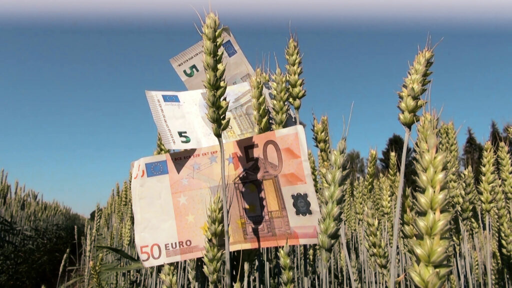 Comoara fermecată! Ce a descoperit la subsol proprietara unui apartament. ''Nu am terminat de numărat''