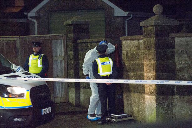 Cine a ucis boschetarii? Aventurile unui român în Irlanda