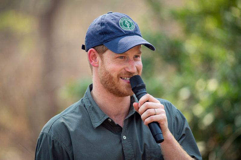 Prințul Harry și Jon Bon Jovi, ”colegi de trupă” pentru un scop nobil