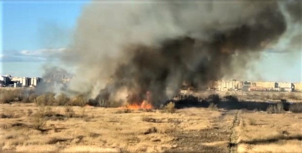 Poliţia Capitalei, chemată în ajutor. Delta Văcărești a luat foc, din nou