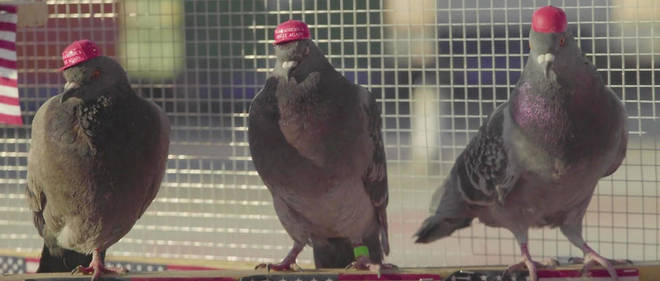 Trump, susținut de PUTIN. Se întâmplă în Las Vegas