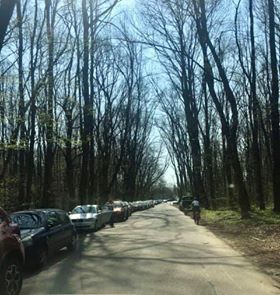 Ce coronavius? Bucureștenii, cu mic cu mare, au luat cu asalt iarba verde