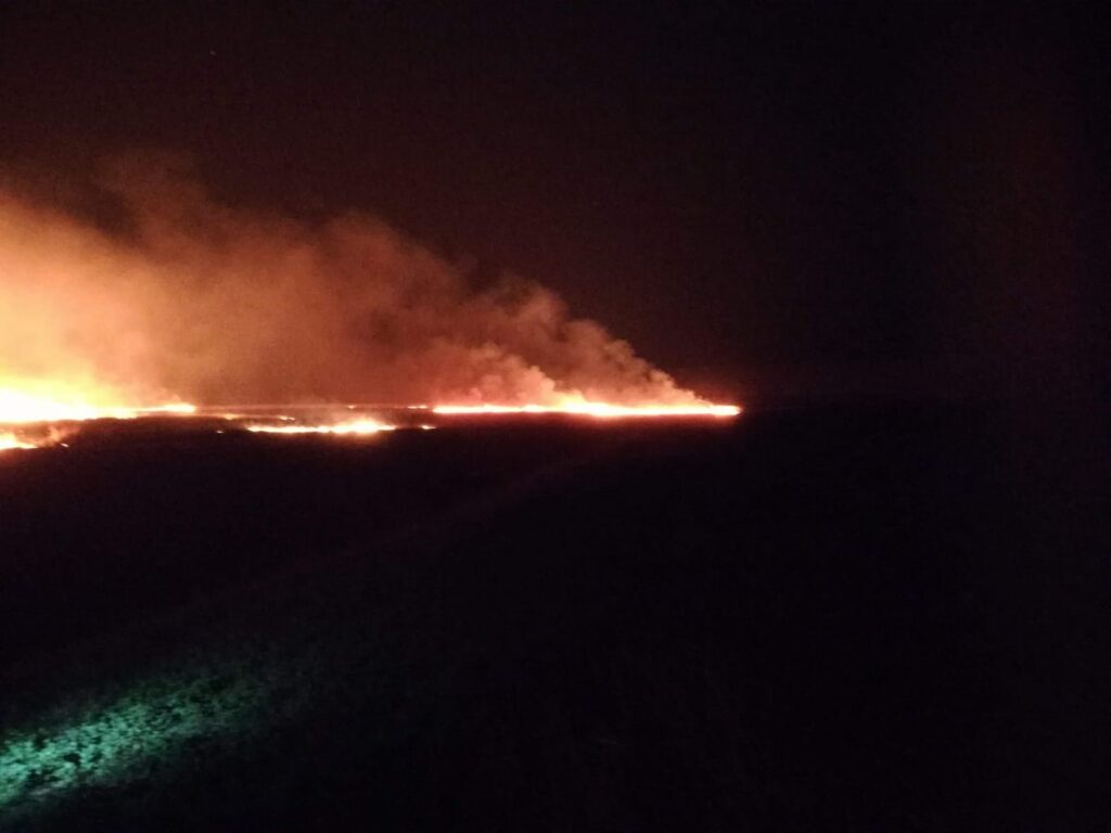 Ard câmpurile! Zeci de hectare din Tulcea, mistuite de flăcări