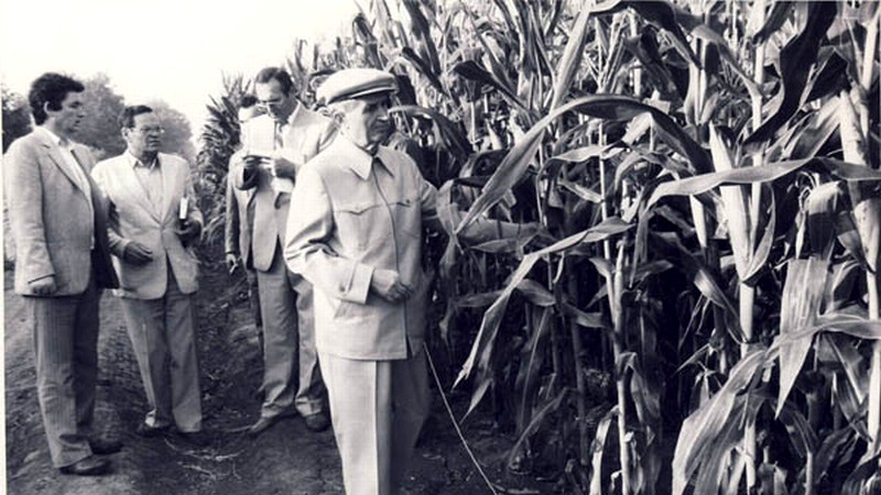 Cu ce furau românii de pe câmp în vremea lui Ceaușescu