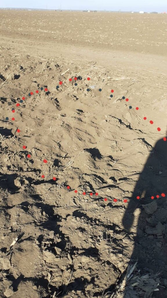 Enigma unei crime. Nu i-au văzut trupul pe câmp nici cu binoclul