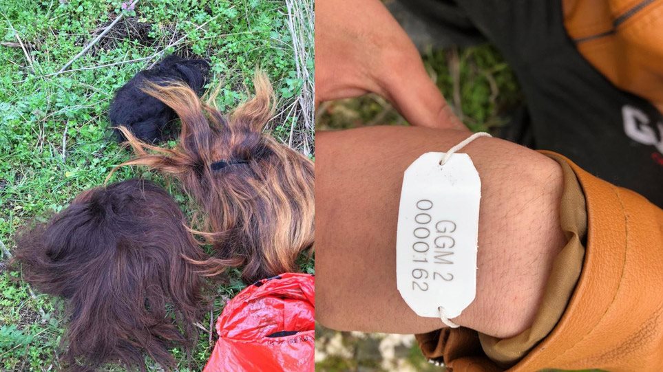 Erdogan le dă peruci migranților trimiși în Grecia pentru a fi luați drept femei și a afirma apoi că este o catastrofă umanitară