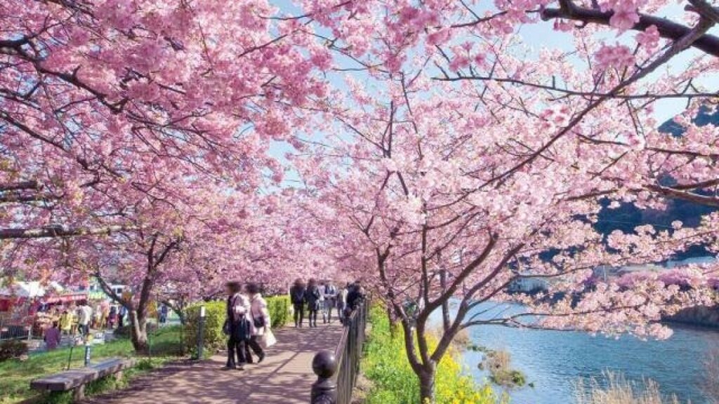 Vești proaspete de la meteorologi. Cum va fi vremea până pe 13 aprilie