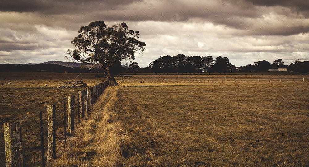 Lucrările agricole de sezon, amânate din cauza pandemiei. Precizări importante din partea MAI