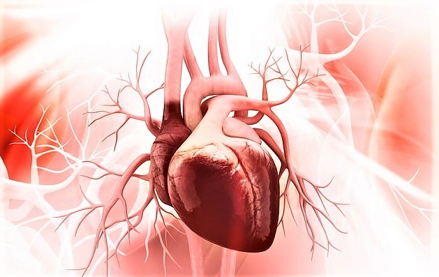 Descoperire epocală a oamenilor de știință. Țesuturile bolnave ale inimii se pot regenera