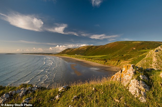 Apariție misterioasă pe o plajă. Experți din mai multe domenii caută explicații