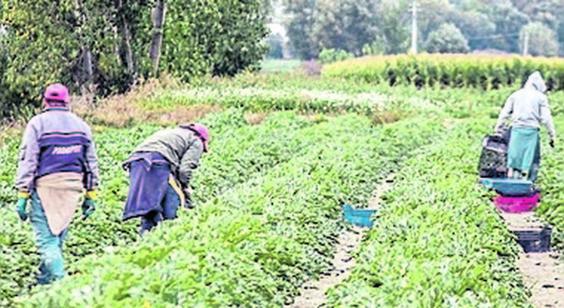 Il Giornale: Pandemia, o oportunitate pentru imigranţii ilegali. Românii au de suferit!