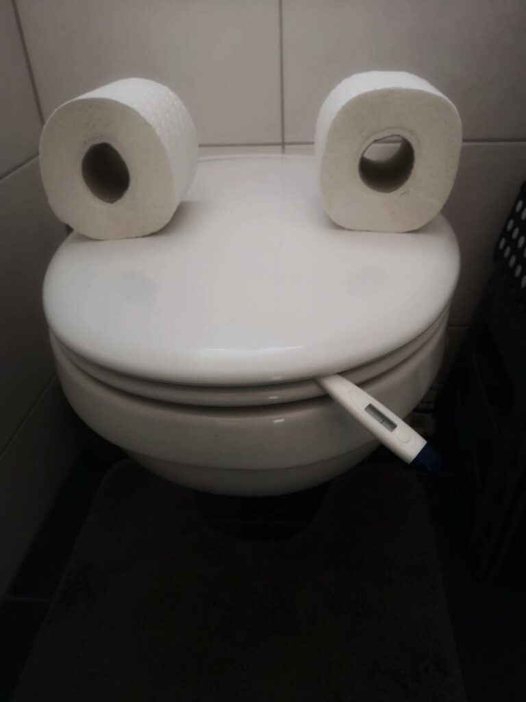 Și-au făcut provizii de hârtie igienciă, iar acum o transformă în opere de artă