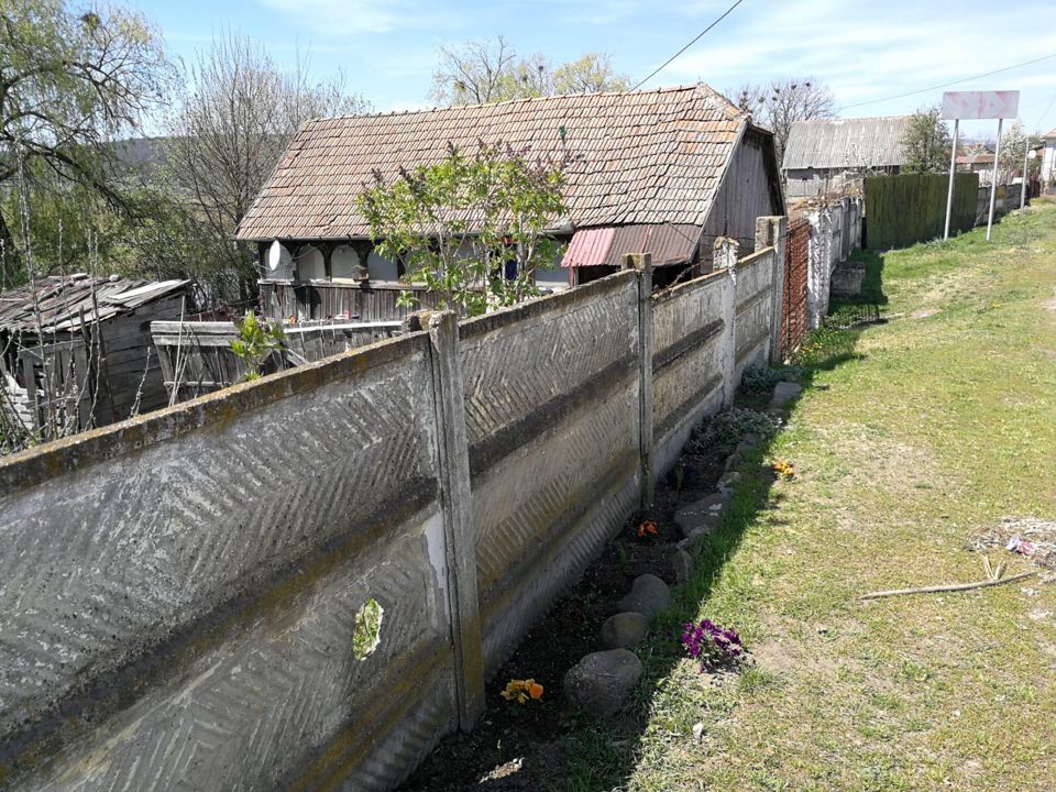 Polițiștii din Alba au comis-o grav! Au amendat un bărbat care planta panseluțe în fața casei