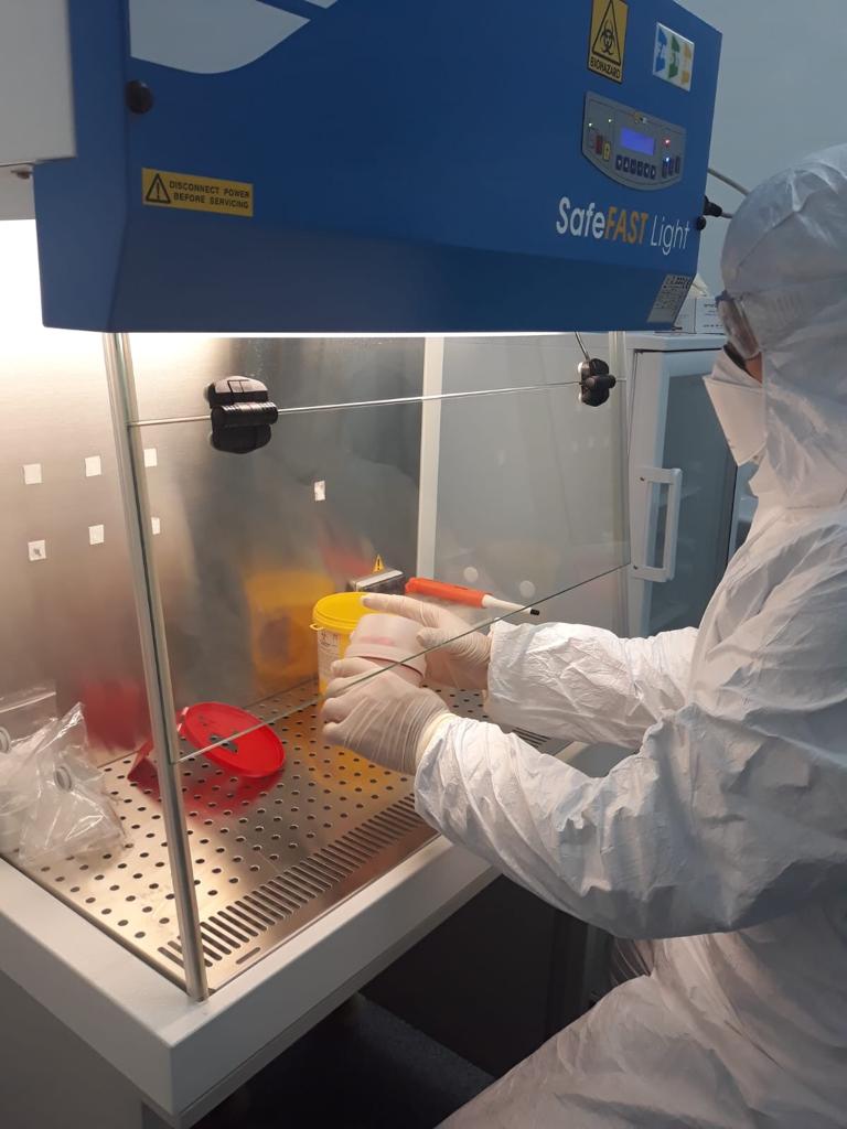 Exclusiv. Am scăpat pandemia din mâini, dar putem opri haosul în ceasul al 13-lea! Rafila anunță primele măsuri ca potențial ministru al Sănătății. VIDEO