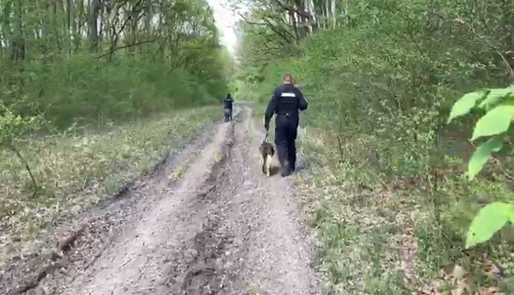 Doi din cei 12 ”evadați” dintr-un centru de carantină au fost prinși. Unde se ascundeau