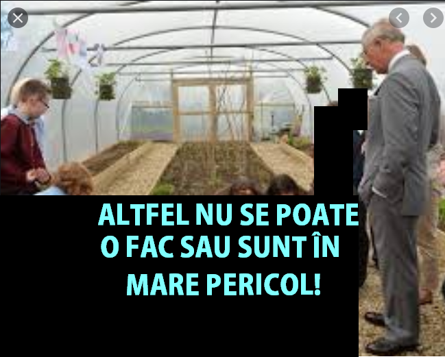 Prințul Charles a propus-o! Criza istorică l-a silit s-o facă. Vor fi de acord britanicii?
