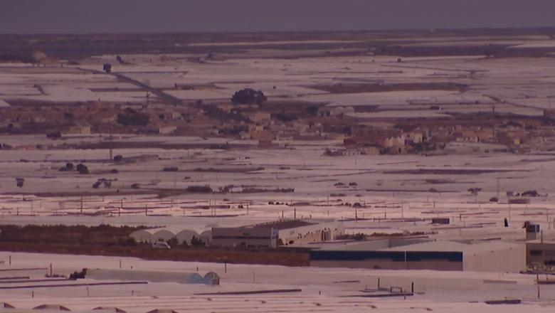 Sfatul unui sezonier din Spania: „Dacă nu vrei să muncești ca un sclav, pleacă!”