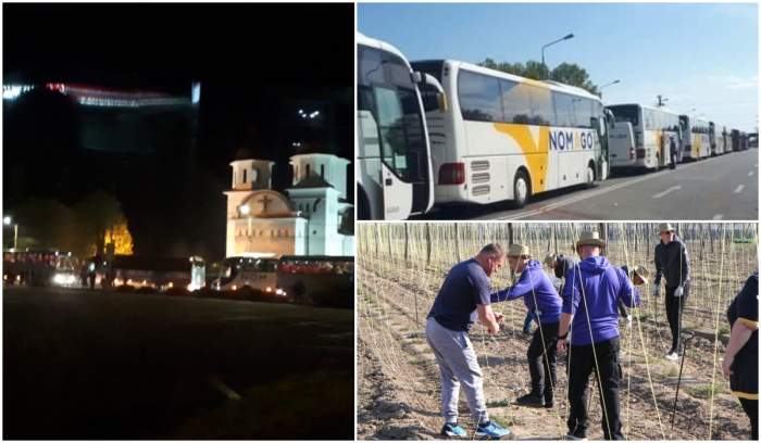 Săraci în România, sclavi în Slovenia. Sute de români dorm în câmp, primesc 2 euro și trei conserve