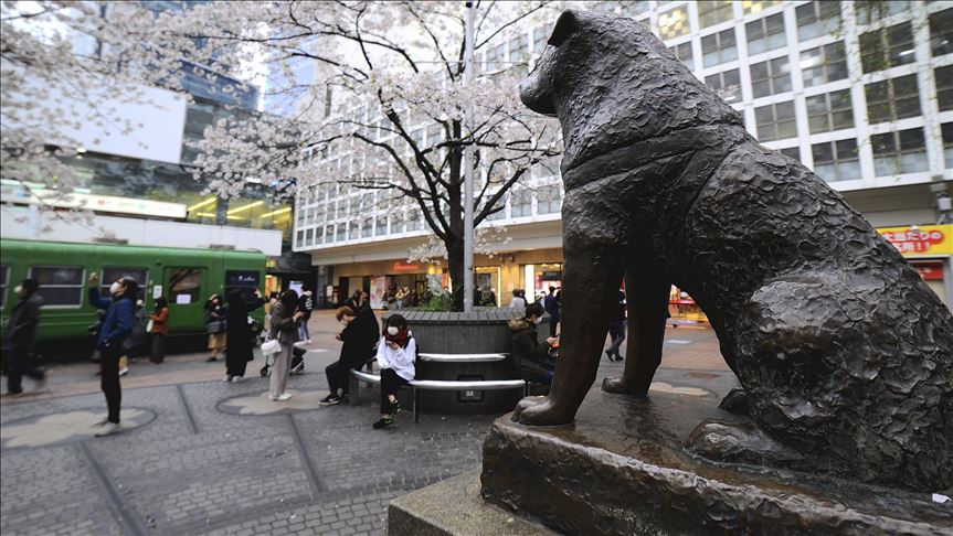 Lista rușinii! Ce pățesc japonezii care nu respectă regulile