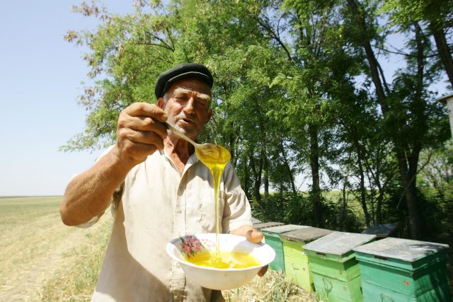 Alertă națională! Ce se întâmplă cu mierea albinelor pe vreme de molimă