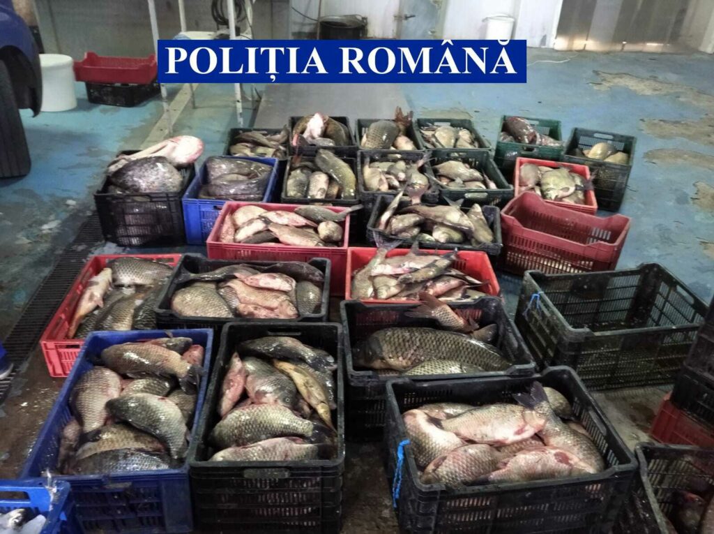 Polițiștii au dat iama în braconierii din Deltă. Ce captură au făcut