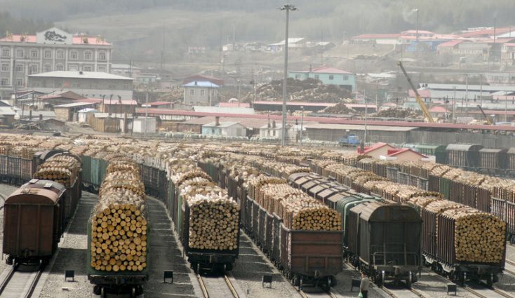 Președintele Iohannis este obligat să semneze! Gata cu exportul de lemn