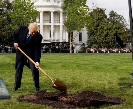 Trump își sapă singur groapa?! Vrea să-l dea în judecată pe... Breaking News