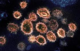 România, lovită de încă un virus periculos. Un epidemiolog celebru sparge gheața!