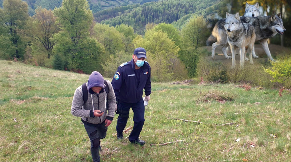 Apel la 112 din vârful copacului. Coșmarul prin care a trecut un argeșean