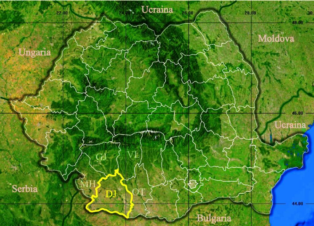 Amendă de 12.000 lei în România! Plăteşti enorm dacă ai pus mâna unde nu trebuie