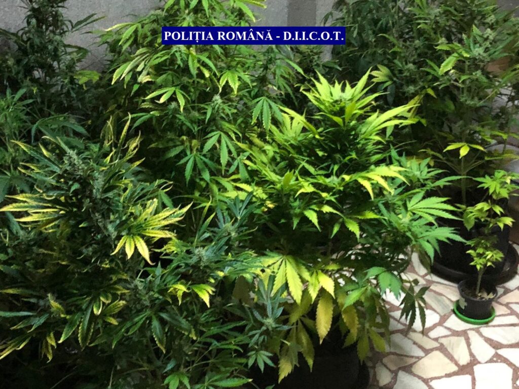 Un polițist de frontieră a vrut să-și salveze pielea și a sărit pe geam. Procurorii au fost mai iuți