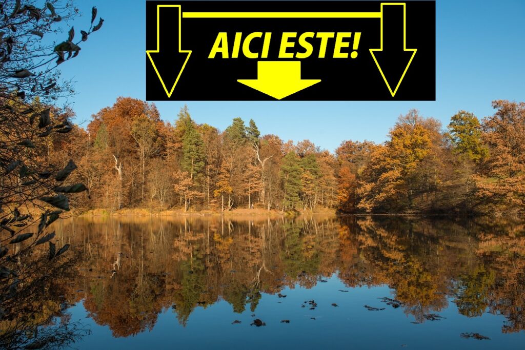 Comoara României, unică în lume! Sunt mii de kilometri, conform specialiştilor