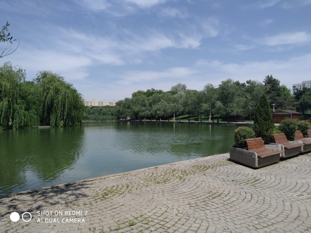 Un copac s-a prăbușit în Parcul Alexandru Ioan Cuza. O femeie a fost rănită