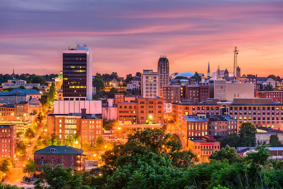 Când ești un militant stupid, care nu cunoști Istoria