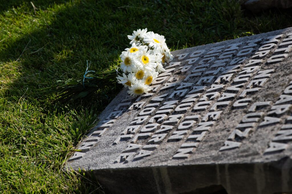 Gen. Dan Voinea face lumină în Dosarul Mineriadei. "Cel care a coordonat represiunea a fost Iliescu". VIDEO